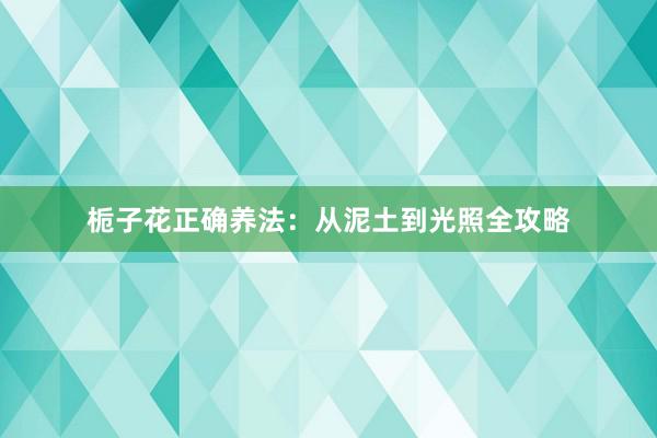 栀子花正确养法：从泥土到光照全攻略