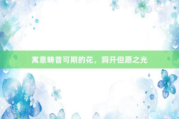 寓意畴昔可期的花，洞开但愿之光